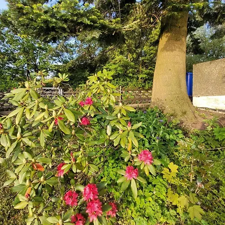 Garten-ueber-hohegeiss